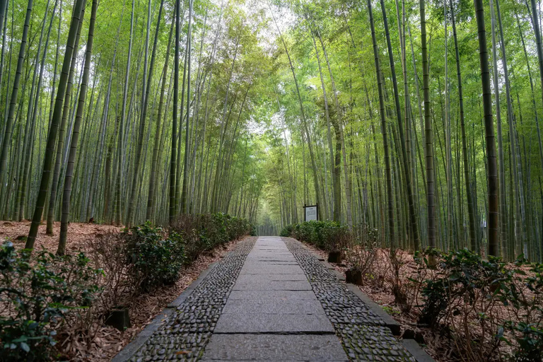 Daqishan National Forest Park Day Ticket