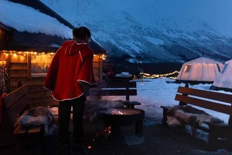 Reindeer Feeding & Chance of Northern Lights with Dinner