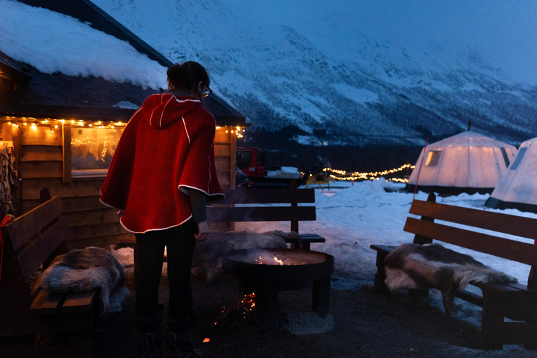 Reindeer Feeding & Chance of Northern Lights with Dinner
