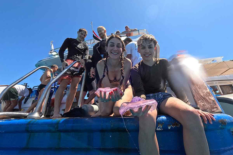 HRG: Orange Bay Island with Snorkeling, Lunch and Drinks Private Transportation + Full package