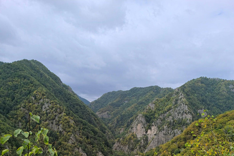 From Brașov: Transfăgărășan Scenic Drive & Poenari Tour From Brasov: Transfăgărășan & Bâlea Lake