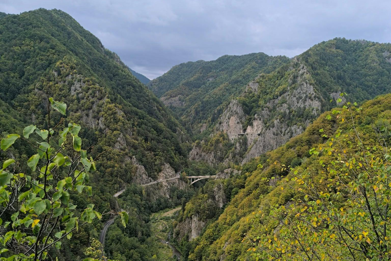 From Brașov: Transfăgărășan Scenic Drive & Poenari Tour From Brasov: Transfăgărășan & Bâlea Lake