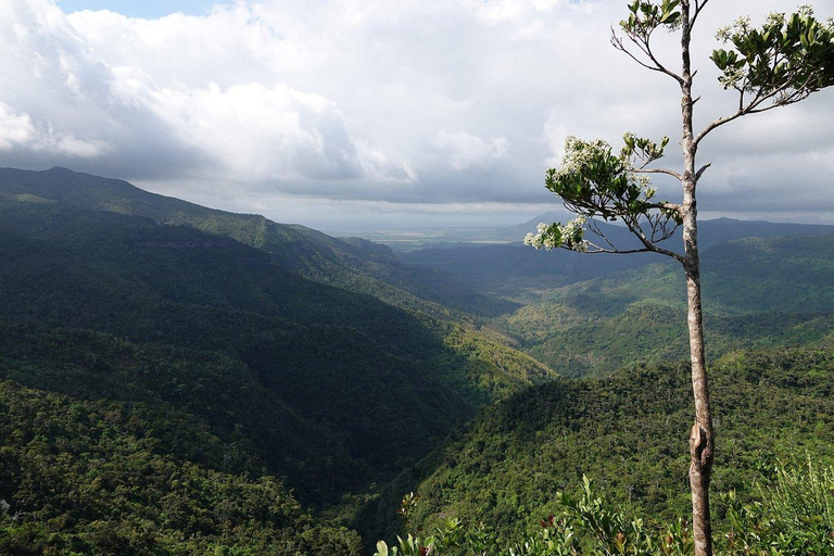South West Mauritius : Ebony Forest Nature Escape with Lunch Into the Wild South: Ebony Forest Nature Escape with Lunch