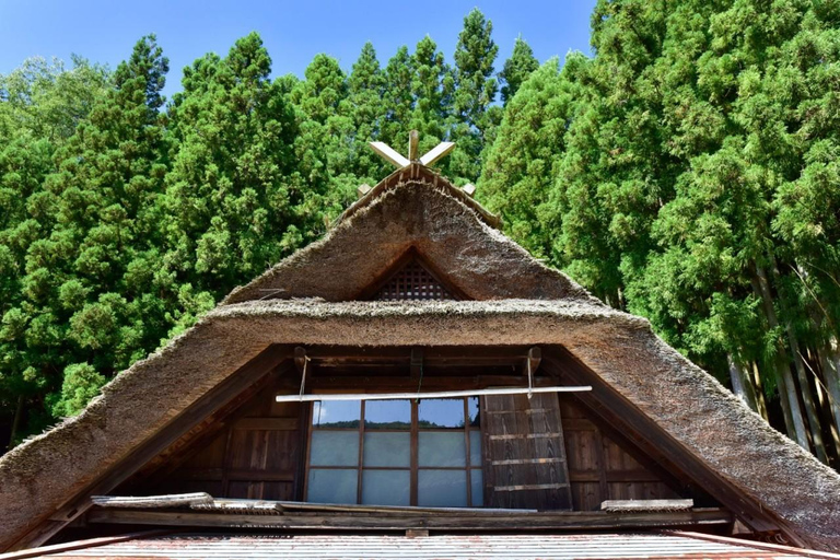 Tokyo: Mt Fuji&Chureito Pagoda&Lake Kawaguchi&Oshino Hakkai Free Karaage Chicken Set | 8AM Tokyo Station Departure