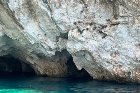 Zakynthos : Tour en bateau à fond de verre vers l'épave et les grottes bleuesTour en bateau à fond de verre pour découvrir les épaves, les grottes et la plage blanche