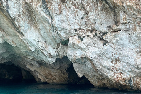 Zakynthos: Rondvaart met glazen bodem naar scheepswrak & blauwe grottenRondvaart met glazen bodem naar scheepswrak, grotten en wit strand