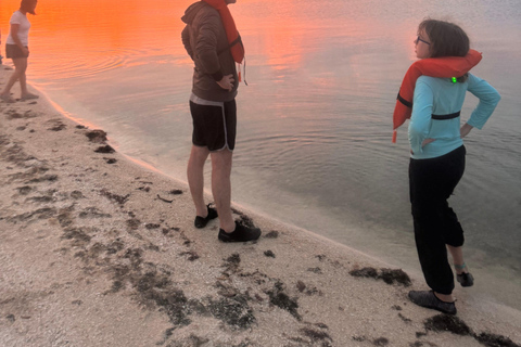 Orlando: Aventura com caiaque ou prancha a remo sem golfinhosPasseio com Golfinhos