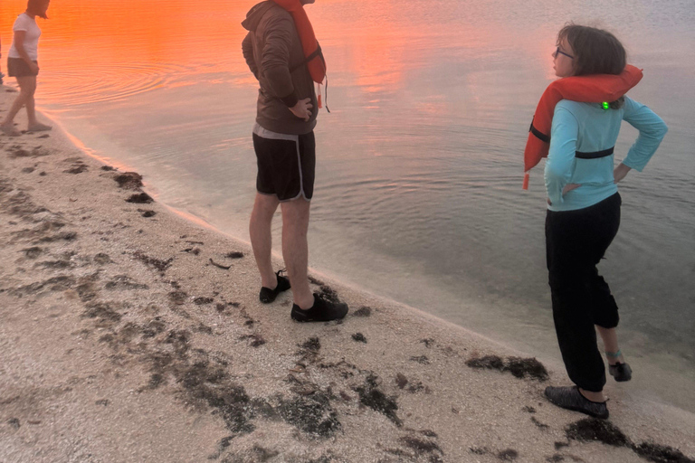 Orlando: Aventura com caiaque ou prancha a remo sem golfinhosPasseio com Golfinhos