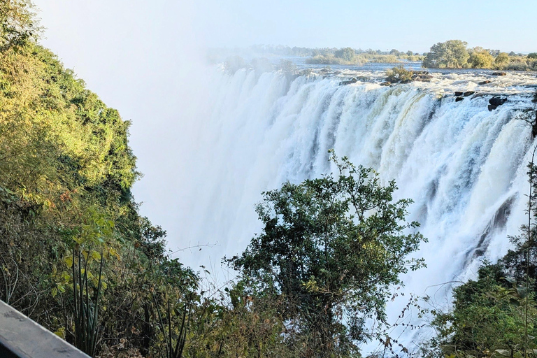 Victoria Falls Cross-Border Tour:Big Tree & Historic Bridge