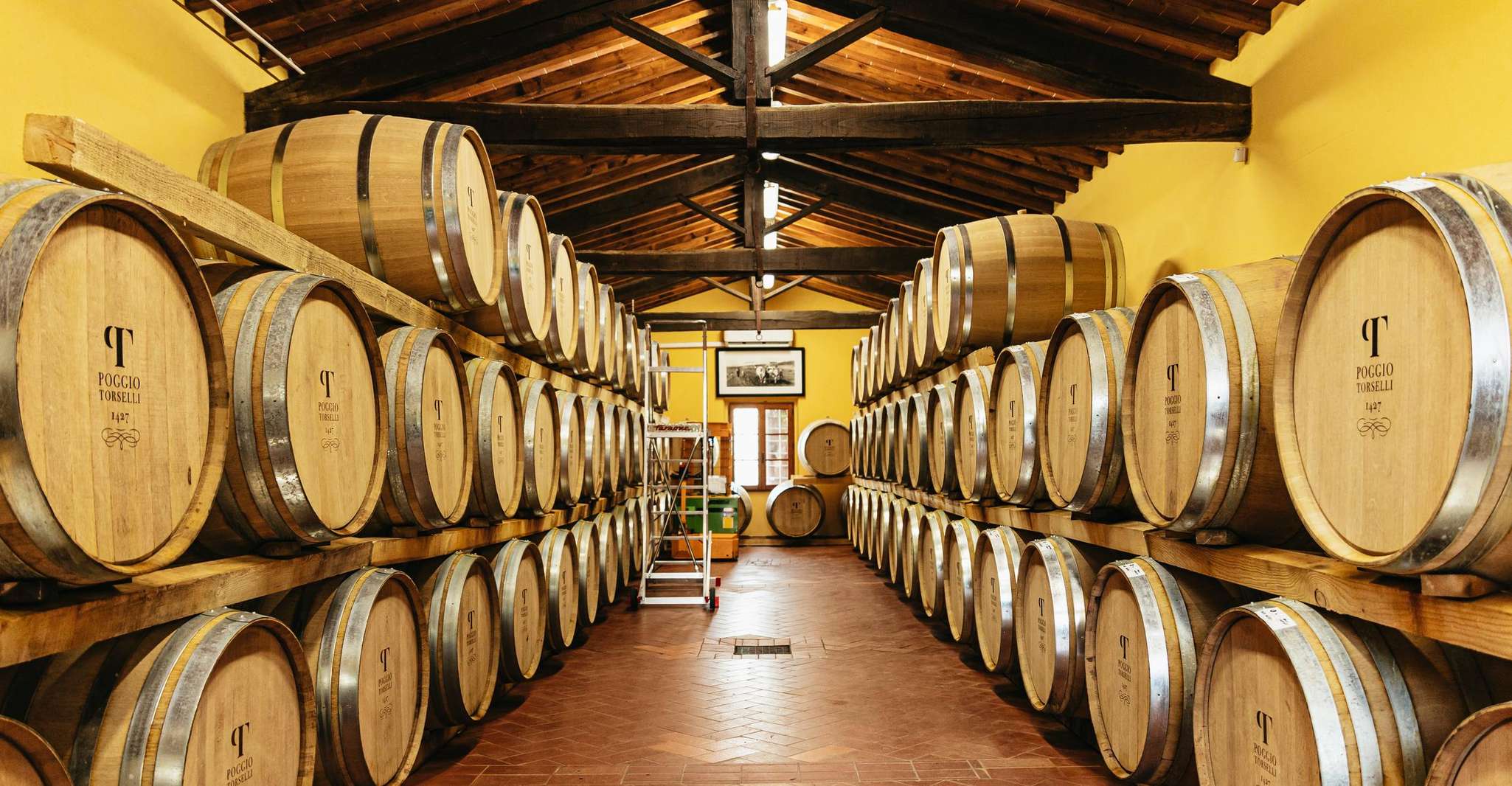 SMALL GROUP Tuscany Wine Tasting Safaris with Lunch / Dinner photo 6