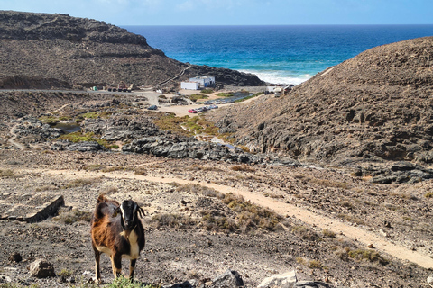 Middle of the Island: Off the beaten track Private Tour Fuerteventura: Betancuria & Puertito Los Molinos PrivateTour