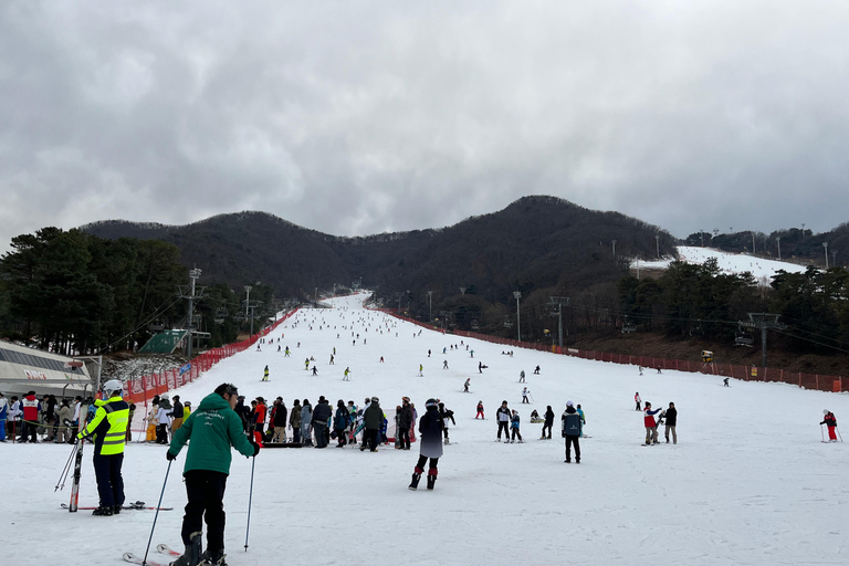 Seul: Jednodniowa wycieczka do ośrodka narciarskiego ElysianOdjazd ze stacji Myeongdong, wyjście 4 - Sled