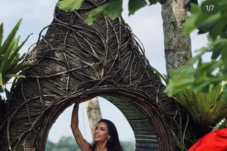 Monkey River, Ubud Market, Waterfall and Art Village Ubud Tour include Ticket