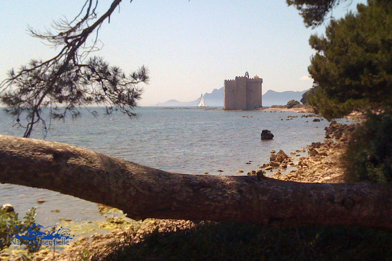 A day in the Lérins Islands: Snorkeling, Yoga & Running A Day in the Lérins Islands: Snorkeling, Yoga & Running