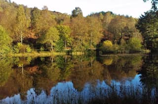 Glasgow Landausflug: - Loch Lomond - Stirling Castle