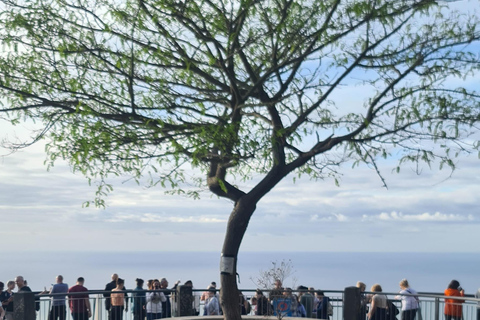 جولة يوم كامل في جزيرة ماديراجولة جزيرة ماديرا ليوم كامل