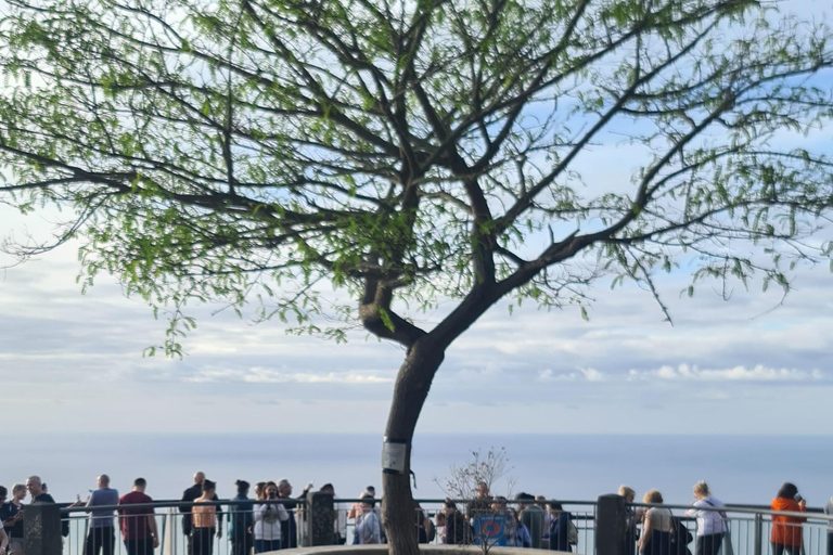 جولة يوم كامل في جزيرة ماديراجولة جزيرة ماديرا ليوم كامل