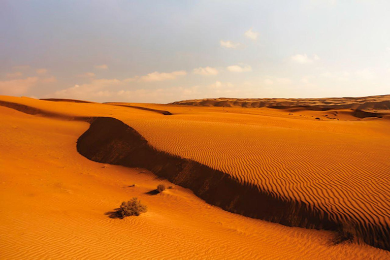 Desde Mascate: 2 días, 1 noche en Wahiba Sands