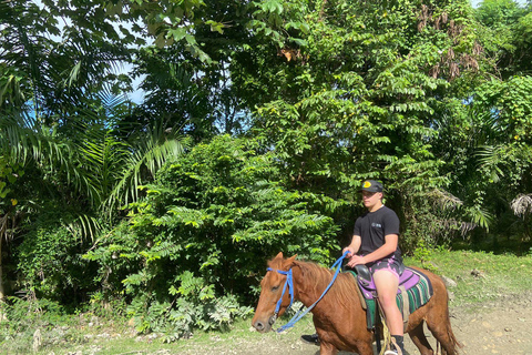 Puerto Plata: Horseback Tour of the Beach and Local Community