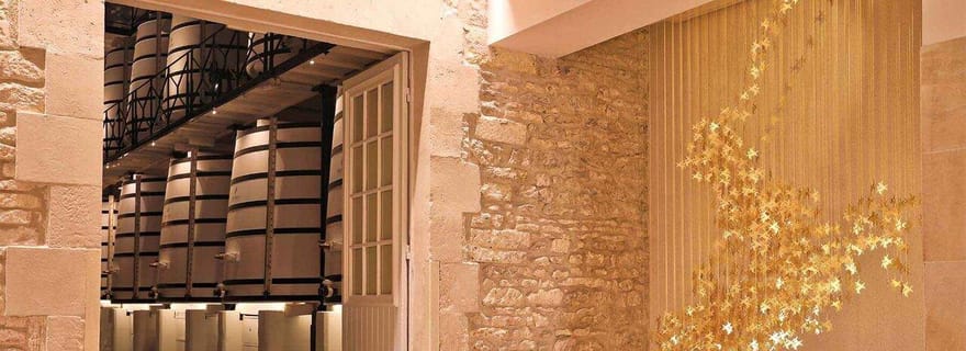 Cognac : visite du 300e anniversaire de Rémy Martin