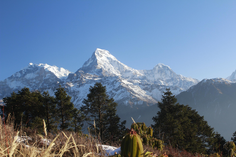 De Katmandu: Caminhada de 5 dias em Poon Hill e Ghandruk