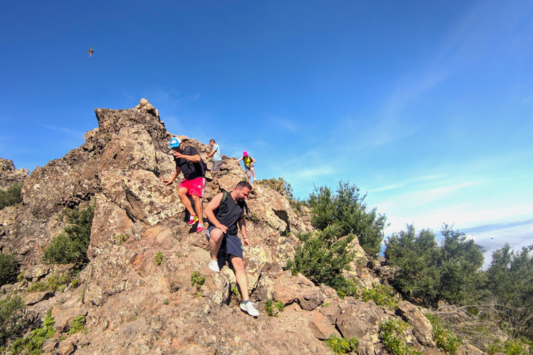 Tenerife: Hike Above Masca in Enchanted Forest with Pick-up