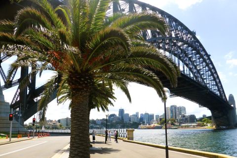 Sydney: tour della città di mezza giornata