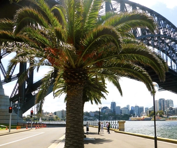 Sydney: Half-Day City Tour