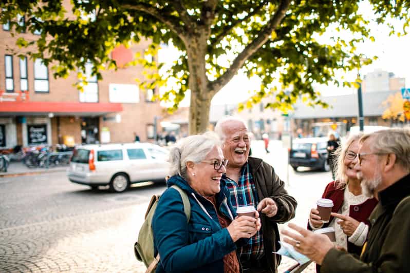Uppsala: tour privato a piedi con cattedrale e castello
