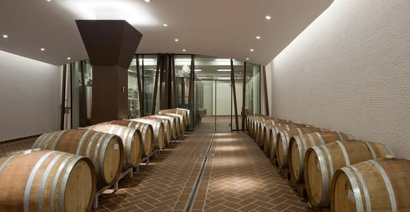 Bardolino: tasting of 6 red Valpolicella and Garda wines