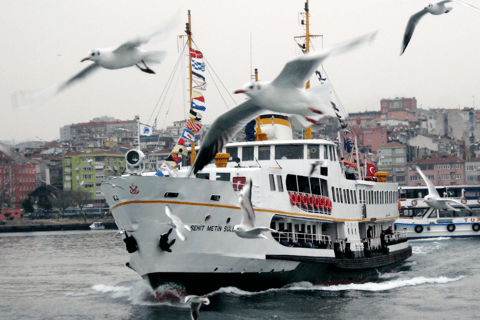 Istanbul: Bosphorus Morning Cruise with Breakfast & Transfer Bosphorus Morning Cruise with Breakfast & Transfer