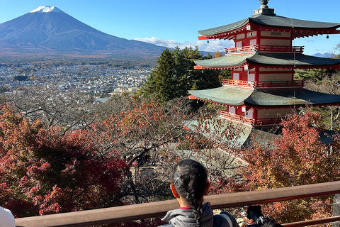 Mt Fuji Sightseeing Private tour with English Speaking Guide