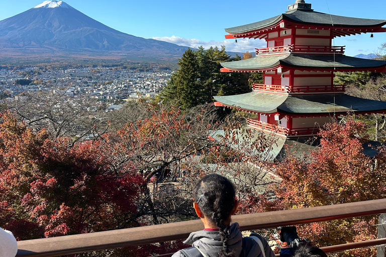 Mt Fuji Sightseeing Private tour with English Speaking Guide