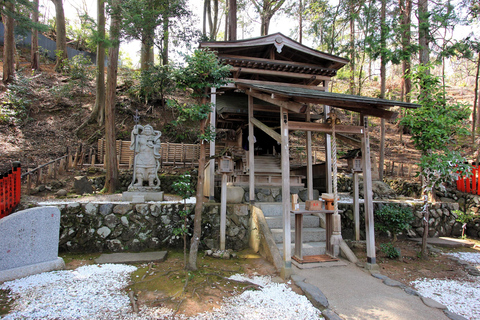 Kyoto : Visite privée d&#039;Arashiyama avec le train romantique de SaganoVisite privée