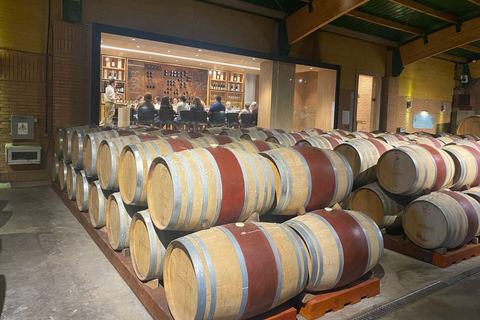 Farellones and Casablanca Valley: Private Mountain Tour and Premium Wines