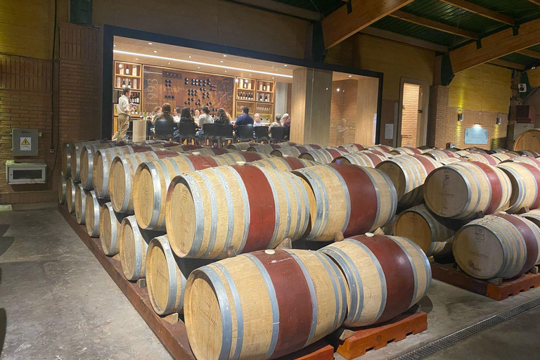 Farellones and Casablanca Valley: Private Mountain Tour and Premium Wines