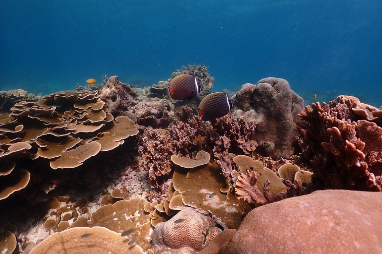 Phuket: wycieczka motorówką na wyspy Racha z nurkowaniem i lunchem