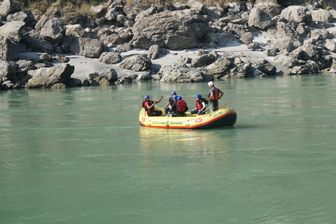 Desde Delhi: (Lugar sagrado:Excursión a Haridwar- Rishikesh)