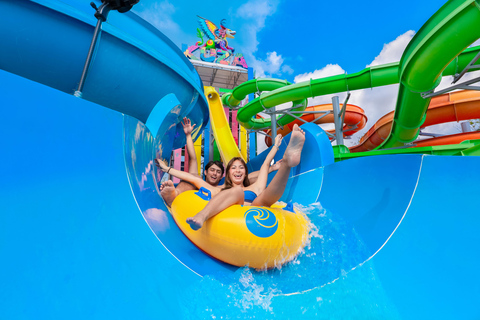 From Cancun: Cozumel Kuza Park & El Cielo Snorkel Tour