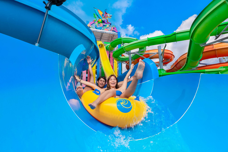 From Cancun: Cozumel Kuza Park & El Cielo Snorkel Tour