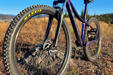 Monte Alban. Bike Tour. Archaeology, Alebrijes, and History.