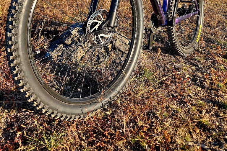 Monte Alban. Bike Tour. Archaeology, Alebrijes, and History.