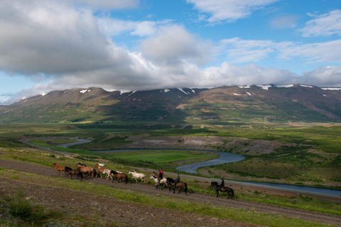 Azores: Scenic Horseback Ride with Coastal Views