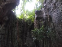 Erstaunlich Bambus Zugfahrt, Fledermäuse Höhle, töten Höhle, Sonnenuntergang - Hizvo
