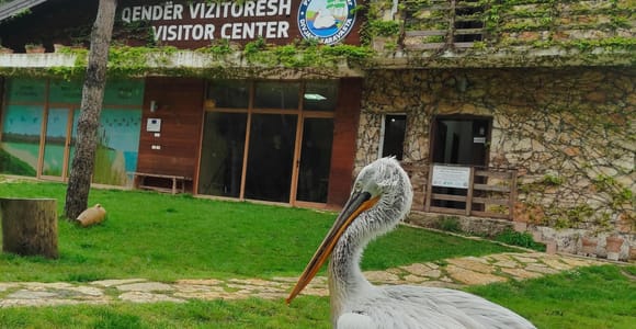 From Durrës: Divjakë-Karavasta National Park Day Trip