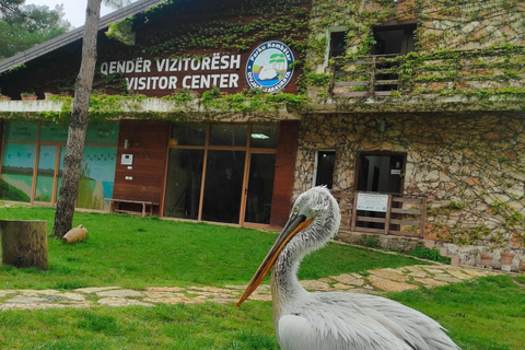 Från Durrës: Divjakë-Karavasta nationalpark dagsutflykt