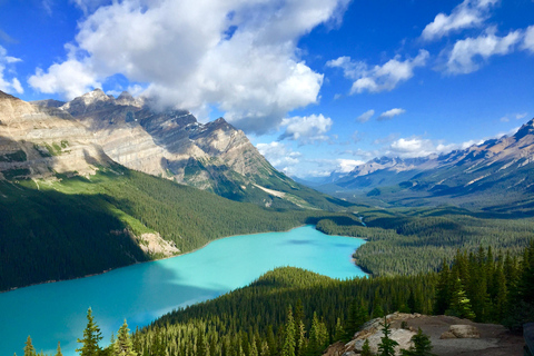 Banff ↔ Jasper Private Scenic Shuttle [One Way] (navette panoramique privée)