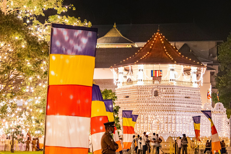 Ontdek de MAGIE van Sri Lanka in 7 dagen -4-sterrenhotels Incl.Ontdek de MAGIE van Sri Lanka in 7 dagen - 4-sterrenhotelverblijven