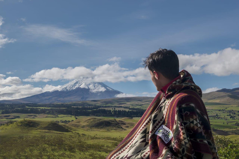 Cotopaxi Guided Tour with Transportation from Quito to Baños Guided Cotopaxi Tour with Transportation from Quito to Baños