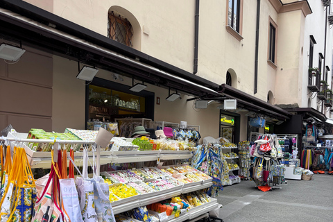 Sorrento: Private Transfer from Naples with Pompeii Visit Option 2 NO Stop Pompeii